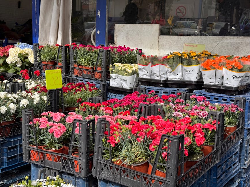 Outdoor display of various potted flowers arranged in black plastic crates at a flower stall outside a shop. The flowers include pink and red carnations, white and purple petunias, yellow and orange m